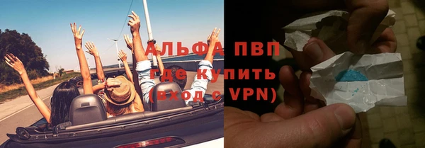 ГАЛЛЮЦИНОГЕННЫЕ ГРИБЫ Каменка