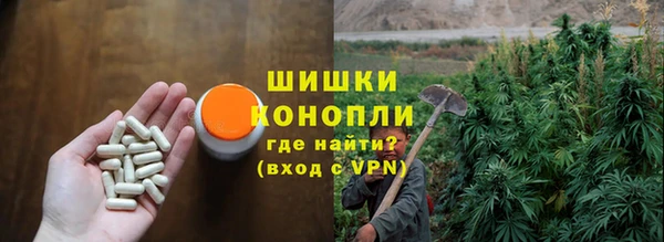 молекула духа Нея
